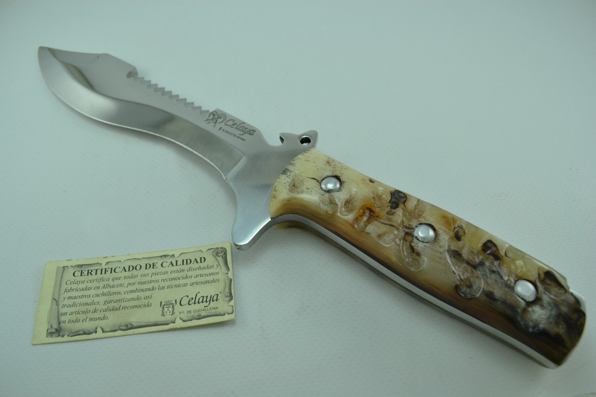 DSC_0826 (Copiar) (Copiar)